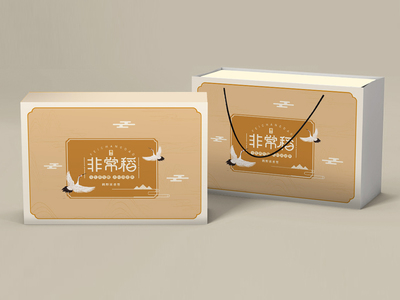 包装装潢设计 从视觉表达到品牌灵魂的艺术